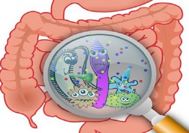 Những điều nên biết về phòng khuẩn đường ruột